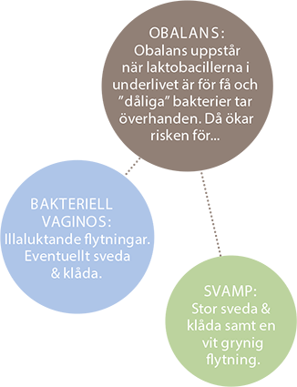 Underliv svamp SVAMP I